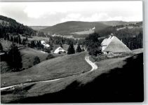 79859 W7826 Blasiwald