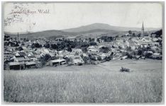 94227 W8372 Zwiesel