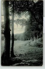 Waldidylle Natur