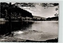 88316 W7972 Großholzleute - Badestelle Waldsee Hengelesweiher
