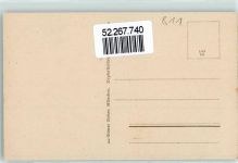 82431 W8111 Walchensee , Oberbay - Panoramakarte Kochelsee Verlag Ottmar Zieher