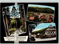 76332 W7506 Bernbach , Schwarzw - Pension Schiebenes