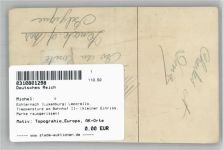 Echternach - Echternach (Luxemburg) Leporello, Treppensturz am Bahnhof II- (kleiner Einriss, Marke rausgerissen)