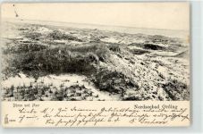 25826 W2252 Sankt Peter-Ording - 1905 Dünen und Meer
