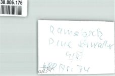 59909 W5780 Ramsbeck FOTO KEINE AK Pension Schwedler Ort handschriftlich Foto Original aus Archiv eines Ansichtskartenverlags