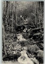 77887 W7595 Sasbachwalden Foto AK Höhle