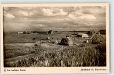 25826 W2252 Sankt Peter-Ording - Marschlandschaft vom Außendeich
