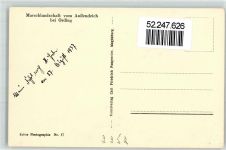 25826 W2252 Sankt Peter-Ording - Marschlandschaft vom Außendeich