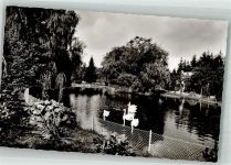 78048 W7730 Villingen -Schwenningen Foto AK Schwanenteich im Stadtgarten