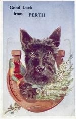 Perth - Perth (Großbritannien) Leporello, Hund II- (minimaler Einriss, fleckig RS, Stauchung)