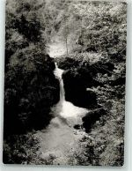 87534 W8974 Oberstaufen FOTO KEINE AK Wasserfall Buchenegger