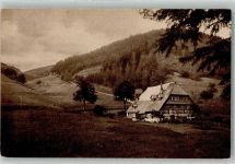 78098 W7740 Triberg im Schwarzwald Foto AK Schwarzwaldhaus