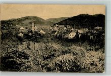 38667 W3388 Bad Harzburg - Panorama des Ortes mit Lutherkirche