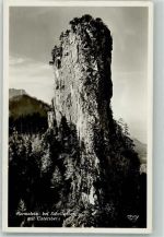 83471 W8246 Marktschellenberg Foto AK Barmstein mit Untersberg