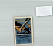86875 W8939 Waal , Schwab Vignette Passionsspiele 1914