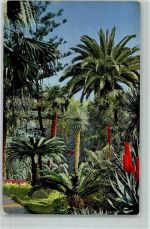 18038 San Remo - Riviera di Ponente Palmen Blumen