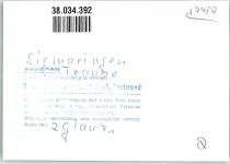 72488 W7480 Sigmaringen FOTO KEINE AK Pension Traube Foto Original aus Archiv eines Ansichtskartenverlages Ort handschriftlich