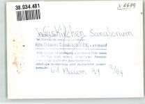 66709 W6649 Weiskirchen , Saar FOTO KEINE AK Sanatorium Foto Original aus Archiv eines Ansichtskartenverlages Ort handschriftlich