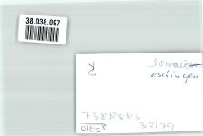 78166 W7710 Donaueschingen FOTO KEINE AK Ort handschriftlich Foto Original aus Archiv eines Ansichtskartenverlages