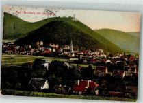 38667 W3388 Bad Harzburg 1913 Foto AK