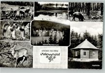 64754 W6121 Hesselbach , Odenw - Schloss Waldleiningen Jagdhütte Wildenburg Wildtiere