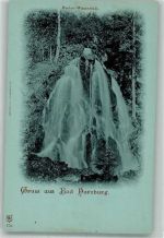 38667 W3388 Bad Harzburg Foto AK Radau Wasserfall