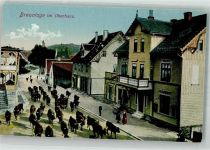 38700 W3389 Braunlage - Viehtrieb durch eine Dorfstraße Verlag Lederbogen 660