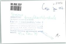31832 W3257 Springe , Deister FOTO KEINE AK Einzelhandelsschule Foto Original aus Archiv eines Ansichtskartenverlages Ort handschriftlich