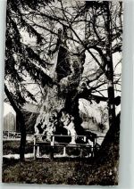 93444 W8493 Ried a Haidstein, a See Foto AK Die 1000 jährige Wolframslinde