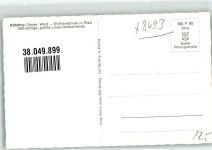 93444 W8493 Ried a Haidstein, a See Foto AK Die 1000 jährige Wolframslinde