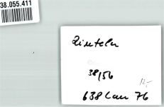 31737 W3260 Rinteln FOTO KEINE AK VW Käfer Ort handschriftlich Foto Original aus Archiv eines Ansichtskartenverlages