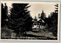 2872 Mönichkirchen Foto AK Pension Villa Hubertus
