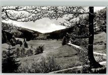 29614 W3040 Willingen Foto AK Blick ins Hoppecketal
