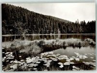 72270 W7292 Schönmünzach Foto AK Schurmsee