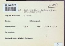 27472 W2190 Döse FOTO KEINE AK Foto montiert auf Karton Kurpark Kurkonzert