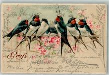 Blumen Schwalbe 1899