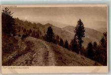 Auf Schwarzwaldhöhen Elchlepp