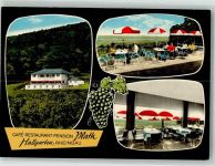 65375 W6227 Hallgarten , Rheingau Foto AK Cafe Gasthaus Pension Plath