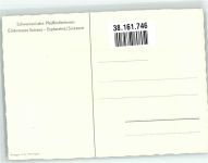 Löwenzahn Schweizer Pfadfinderinnen Brügger AG Pfadfinder Künstlerkarte