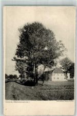 82362 W8120 Moosschwaige 1910 - Bauernhaus hinter einer Baumreihe