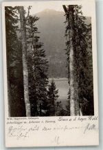 94227 W8372 Zwiesel 1899 - Adelskorrespondenz Arberkuppe Arbersee
