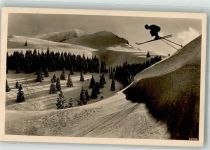 Wächtensprung Skifahrer Abfahrt Ski