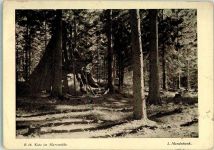 Foto L. Mundschenk Kote im Harzwalde Beruf Köhler