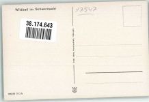 W7547 Bad Wildbad im Schwarzwald Graf Eberhard's Flucht aus Wildbad Adel Württemberg Künstlerkarte