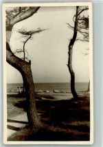 18225 O2565 ühlungsborn , Ostseebad Foto AK Ort handschriftlich