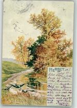 Herbst Bachlauf zwischen herbstlich verfärbten Bäumen Adelskorrespondenz Jahreszeit 1901 Lithographie / Künstlerkarte