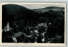 Wölfelsgrund Miedzygorze 1931 Foto AK