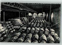 San Sadurni de Noya Casa Codorniu Weinfässer Lager Bodega Wein