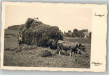 Foto M. Hackner Erntezeit Tiergespann Gebrauchsspuren