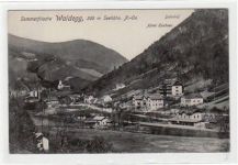 AK von der Sommerfrische Waldegg. Gesamtansicht Bahnhof Hotel Kuchner. Ungelaufen. Leichter Bug oben links, sonst gut erhalten.